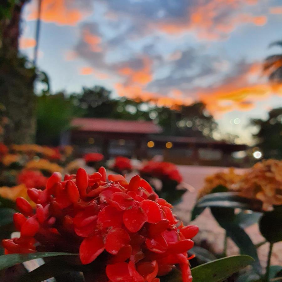 Panorama Park Hotel Igaracu do Tiete Dış mekan fotoğraf